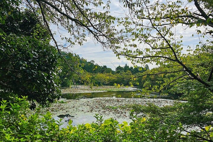 Kyoto Golden Temple & Zen Garden: 2.5-Hour Guided Tour — photo 10