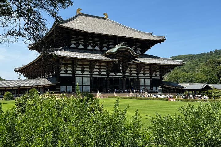 Private 3-Hour UNESCO Heritage Sites & Deer Park Tour — photo 14