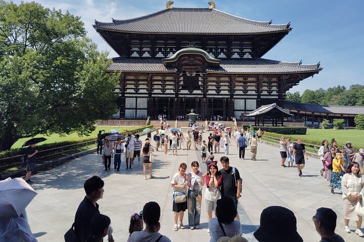 Private 3-Hour UNESCO Heritage Sites & Deer Park Tour — photo 4