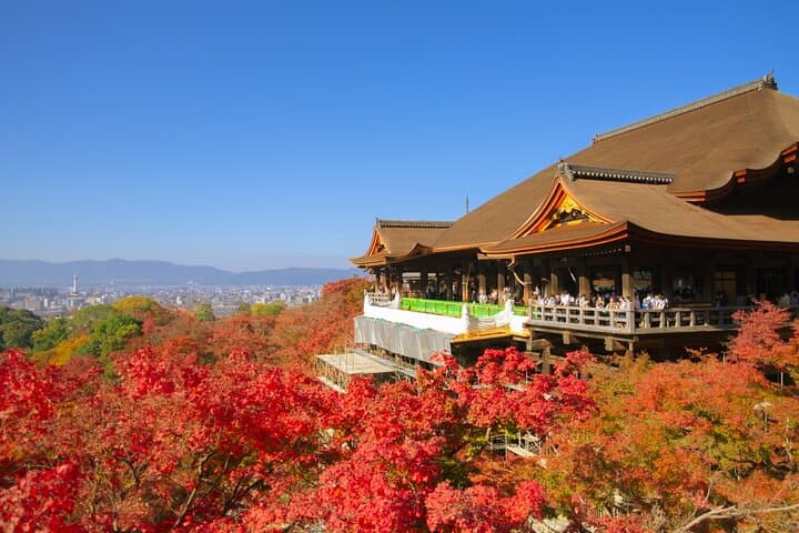 A Tour to Explore Kyoto's Autumn Foliage at Kiyomizu-dera Temple — photo 1