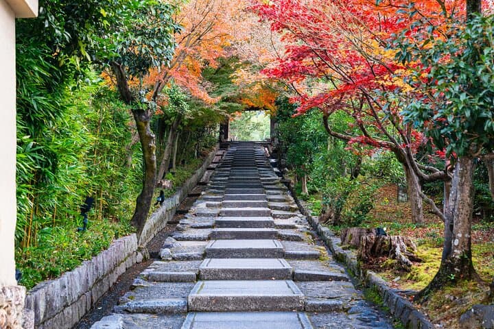 A Tour to Explore Kyoto's Autumn Foliage at Kiyomizu-dera Temple — photo 5