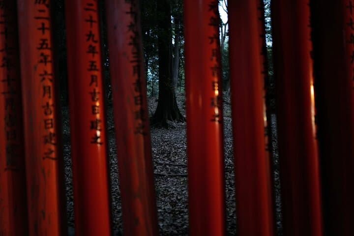 Kyoto Fushimi Inari Night Walking Tour — photo 13