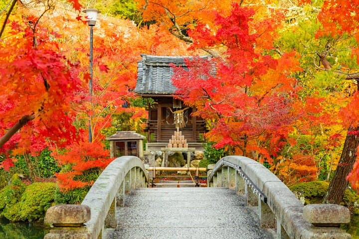 Nanzenji, Eikando, and Ginkakuji Autumn Private Tour in Kyoto — photo 2