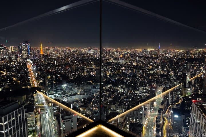 Tokyo Highlights Private Full Day City Tour With English Guide — photo 15