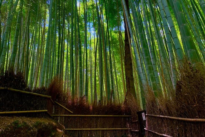 Kyoto Early Bird English Tour: Fushimi-Inari and Arashiyama — photo 3