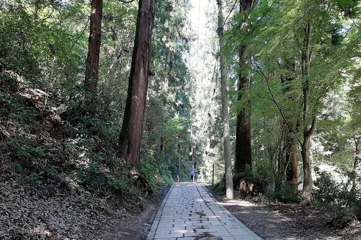 Mt. Takao with Hot Spring Private Tour — photo 6