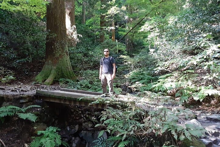 Mt. Takao with Hot Spring Private Tour — photo 5
