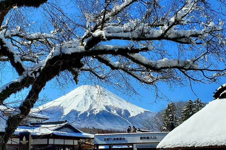 2 Days - 1.Tokyo/2.Mt. Fuji and Hakone Private Tour from Tokyo — photo 2