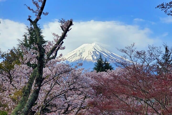 3 Days, 1. Tokyo, 2.Mt. Fuji & 3. Hakone Private Tour from Tokyo — photo 5