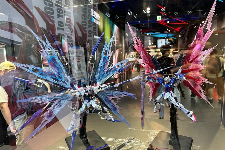 Private Car Tour for Anime Manga Game and Otaku Tour in Tokyo — photo 10