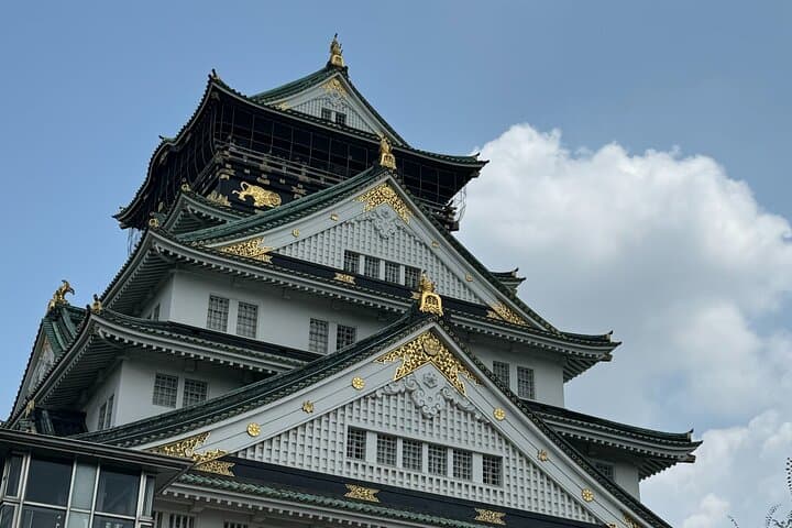 Osaka Castle Walking Tour — photo 6