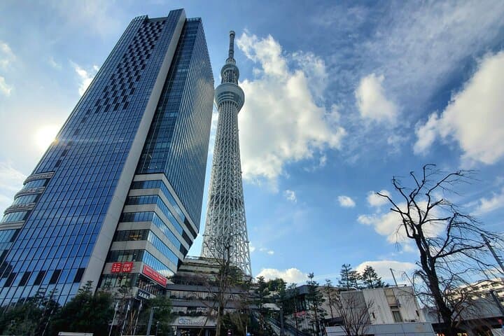 3 Days, 1. Tokyo, 2.Mt. Fuji & 3. Hakone Private Tour from Tokyo — photo 9