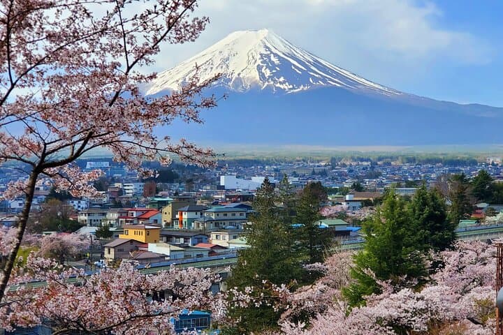 3 Days, 1. Tokyo, 2.Mt. Fuji & 3. Hakone Private Tour from Tokyo — photo 4