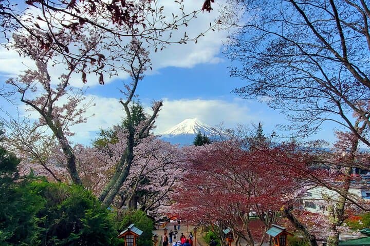 3 Days, 1. Tokyo, 2.Mt. Fuji & 3. Hakone Private Tour from Tokyo — photo 14
