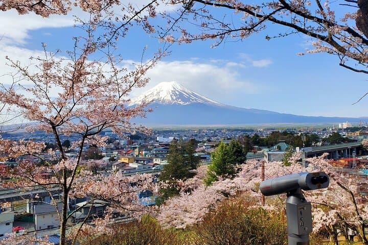 3 Days, 1. Tokyo, 2.Mt. Fuji & 3. Hakone Private Tour from Tokyo — photo 17