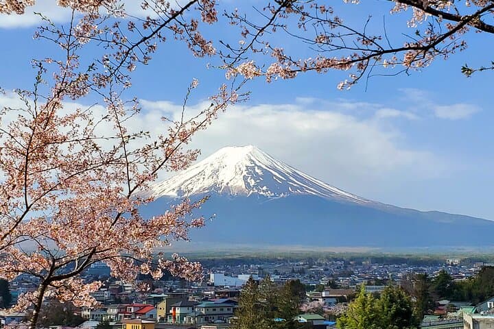 3 Days, 1. Tokyo, 2.Mt. Fuji & 3. Hakone Private Tour from Tokyo — photo 18