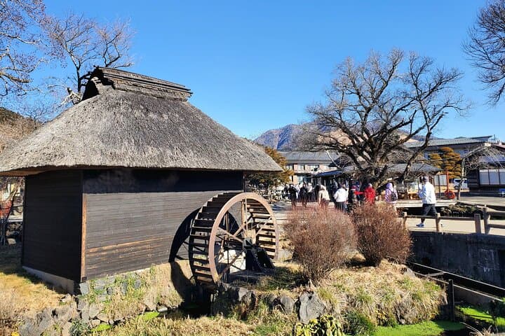 2 Days - 1.Tokyo/2.Mt. Fuji and Hakone Private Tour from Tokyo — photo 20
