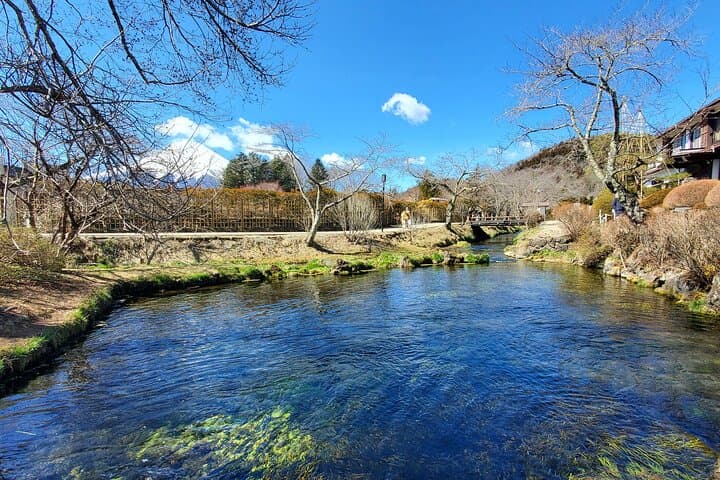 2 Days - 1.Tokyo/2.Mt. Fuji and Hakone Private Tour from Tokyo — photo 5