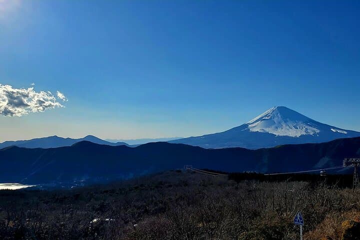 2 Days - 1.Tokyo/2.Mt. Fuji and Hakone Private Tour from Tokyo — photo 7
