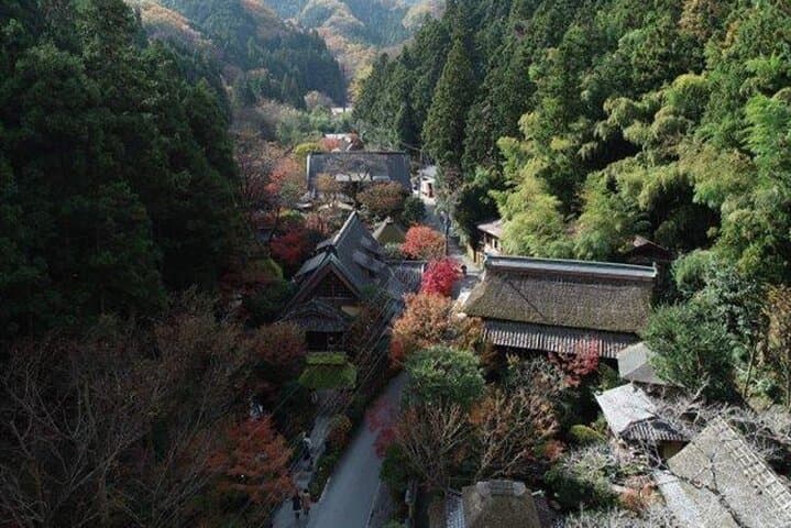 Gourmet Tour in Mountain Takao, Tokyo — photo 17