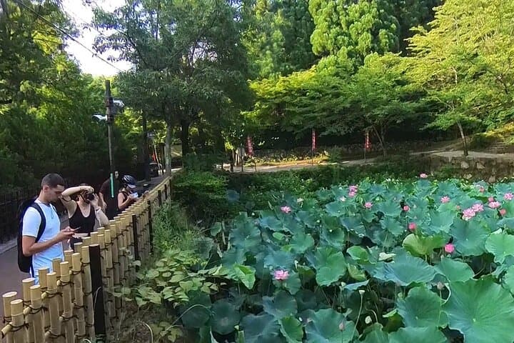 ONLY YOU in the Bamboo Forest! 4 hours E-bike tour with a local — photo 9
