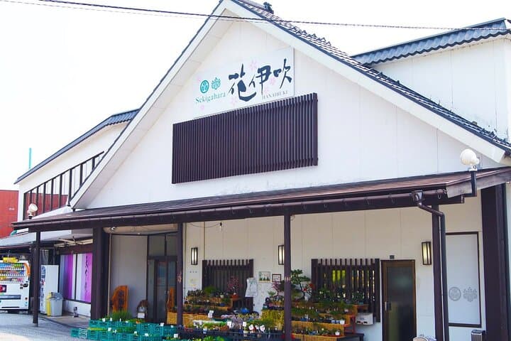 2-Day Bus Tour to Shirakawago & Hida No Sato Winter Illumination — photo 3