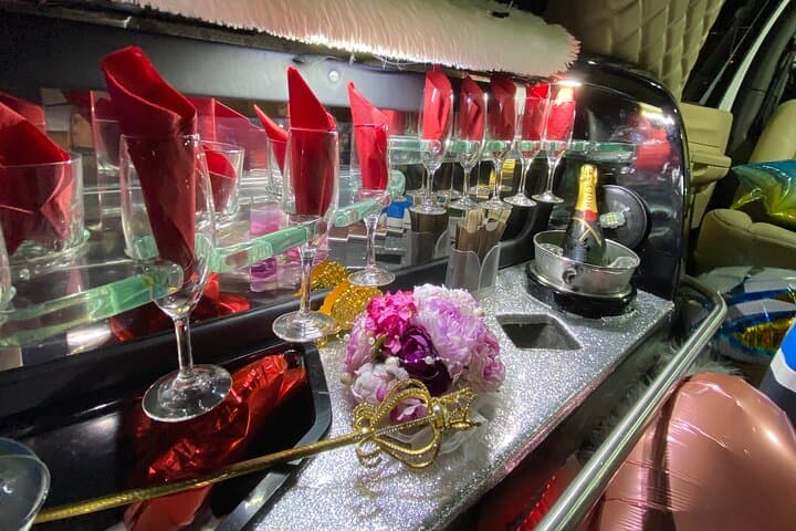 Osaka Limousine Photoshoot & Party Tour — photo 7