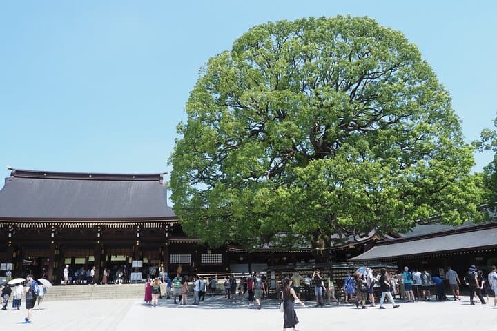 Aoyama Art Museum Tour from Tokyo — photo 19