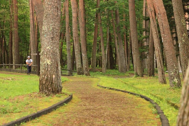Mt. Fuji Luxury Getaway and Hakone Adventure by Private Car — photo 13