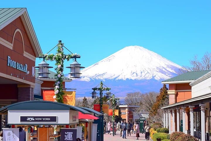 Mt. Fuji Luxury Getaway and Hakone Adventure by Private Car — photo 2