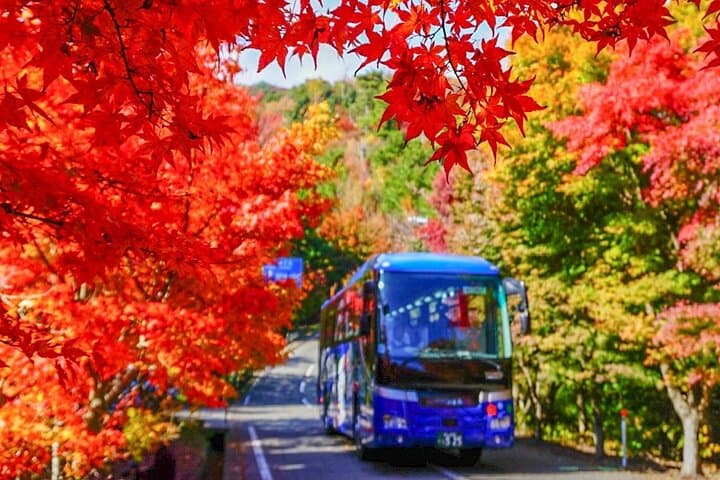 1 Day Shodoshima Island Bus Tour — photo 2