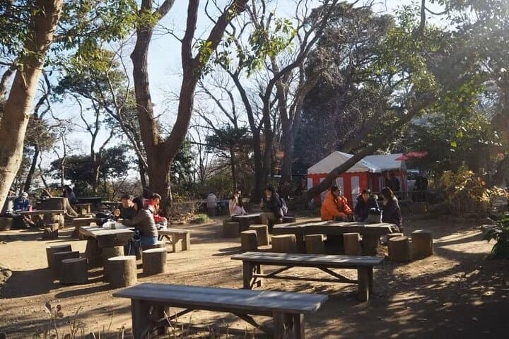 Kamakura Private Cultural and Historical Hiking Tour — photo 8