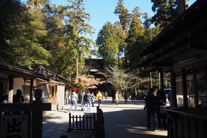 Kamakura Private Cultural and Historical Hiking Tour — photo 9