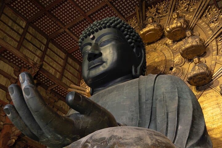 Kyoto & Nara Private Tour from Osaka Kyoto Hotel Pick-up — photo 6