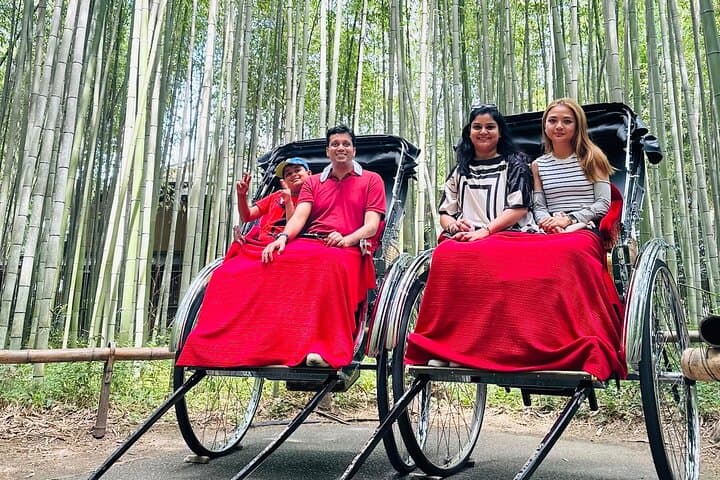 Kyoto & Nara Private Tour from Osaka Kyoto Hotel Pick-up — photo 8