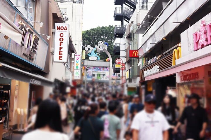 Tokyo Private Half Day Tour with Licensed Guide by Car — photo 7