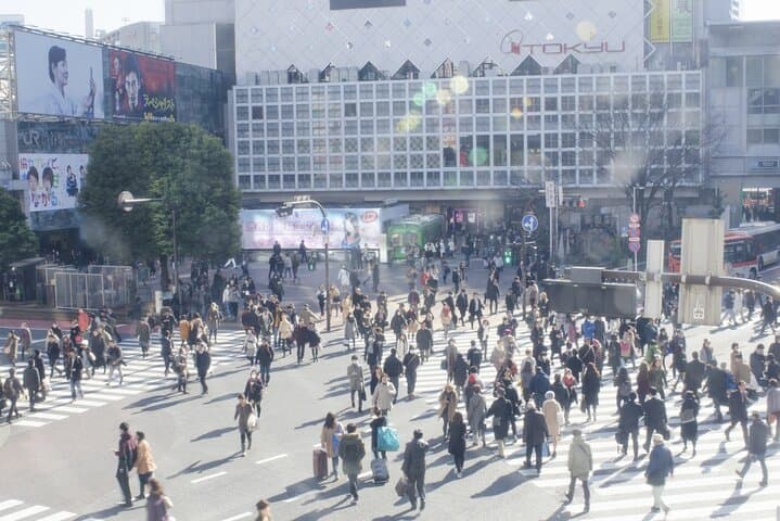 Tokyo Private Half Day Tour with Licensed Guide by Car — photo 8