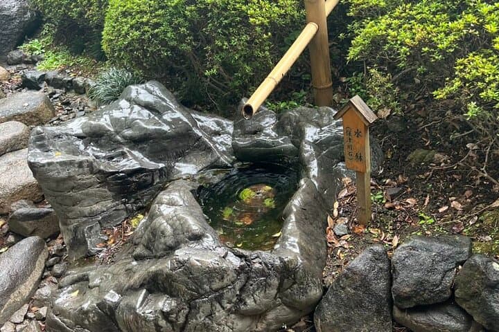 Private Walking Tour in Fukagawa, Tokyo — photo 11