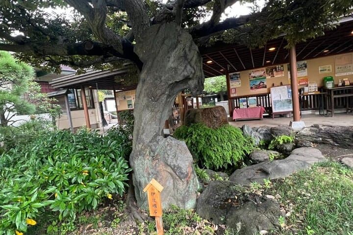 Private Walking Tour in Fukagawa, Tokyo — photo 17