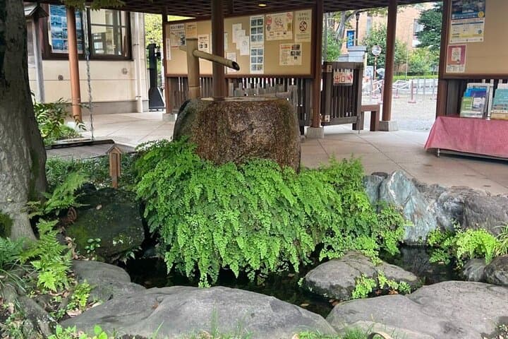 Private Walking Tour in Fukagawa, Tokyo — photo 18