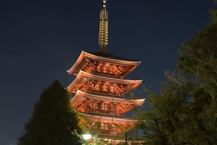 Customizable Private Tokyo Trip with an English Speaking Driver — photo 3