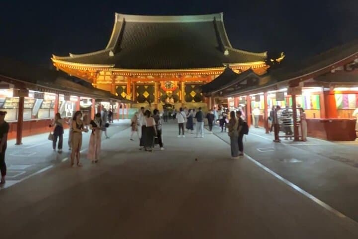 Customizable Private Tokyo Trip with an English Speaking Driver — photo 4