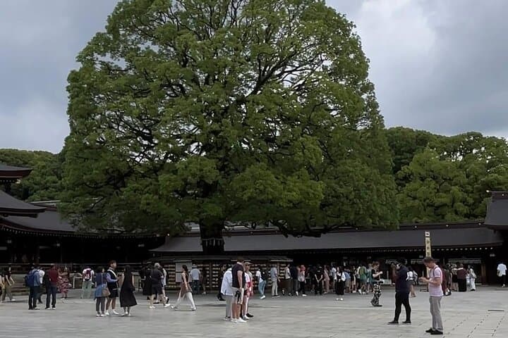 Customizable Private Tokyo Trip with an English Speaking Driver — photo 8
