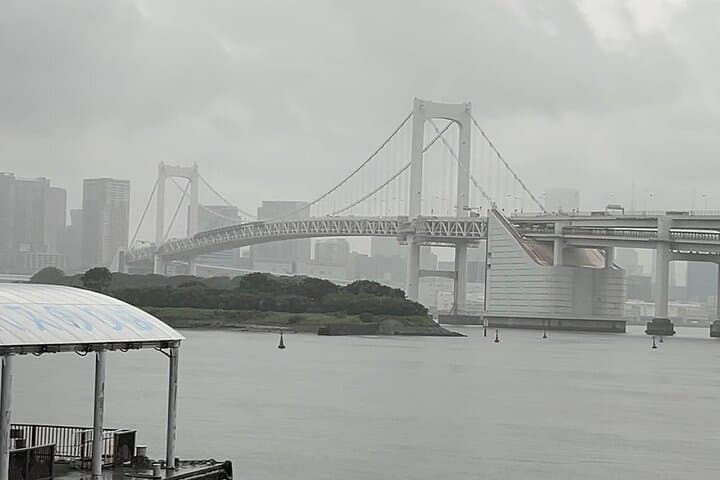 Customizable Private Tokyo Trip with an English Speaking Driver — photo 10