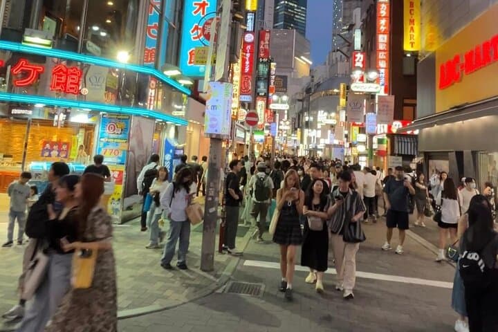 Customizable Private Tokyo Trip with an English Speaking Driver — photo 13