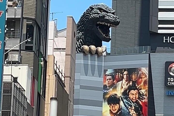 Customizable Private Tokyo Trip with an English Speaking Driver — photo 2