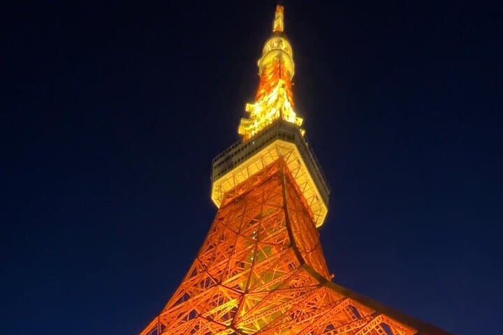 Customizable Private Tokyo Trip with an English Speaking Driver — photo 16