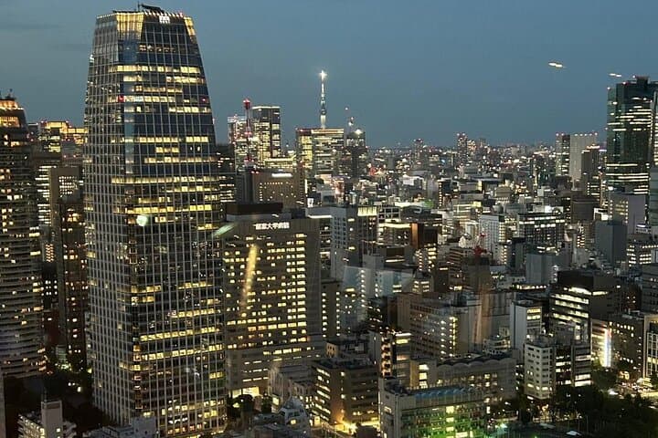 Customizable Private Tokyo Trip with an English Speaking Driver — photo 18
