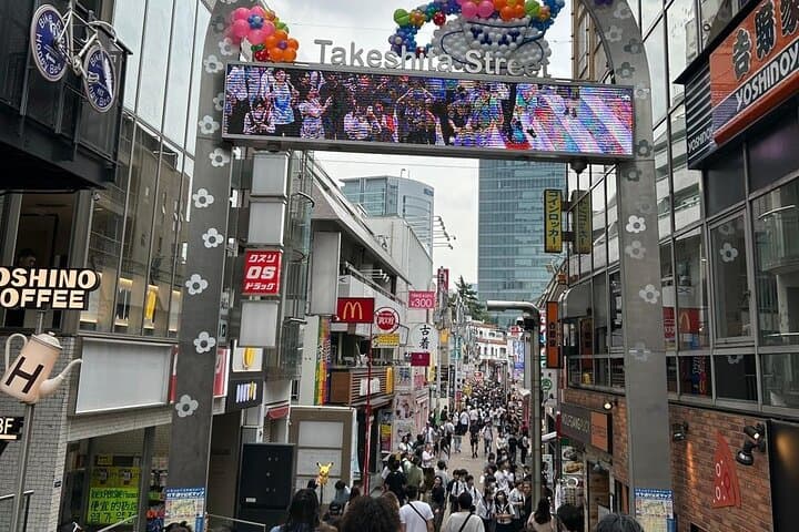 Customizable Private Tokyo Trip with an English Speaking Driver — photo 15