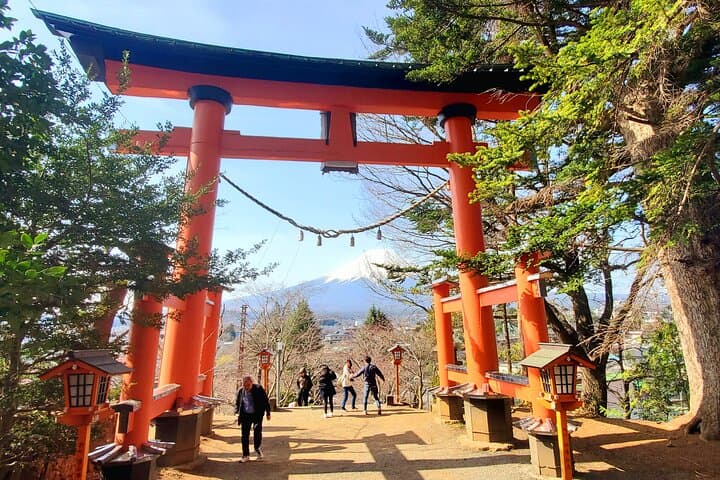 2 Days - 1.Tokyo/2.Mt. Fuji and Hakone Private Tour from Tokyo — photo 3